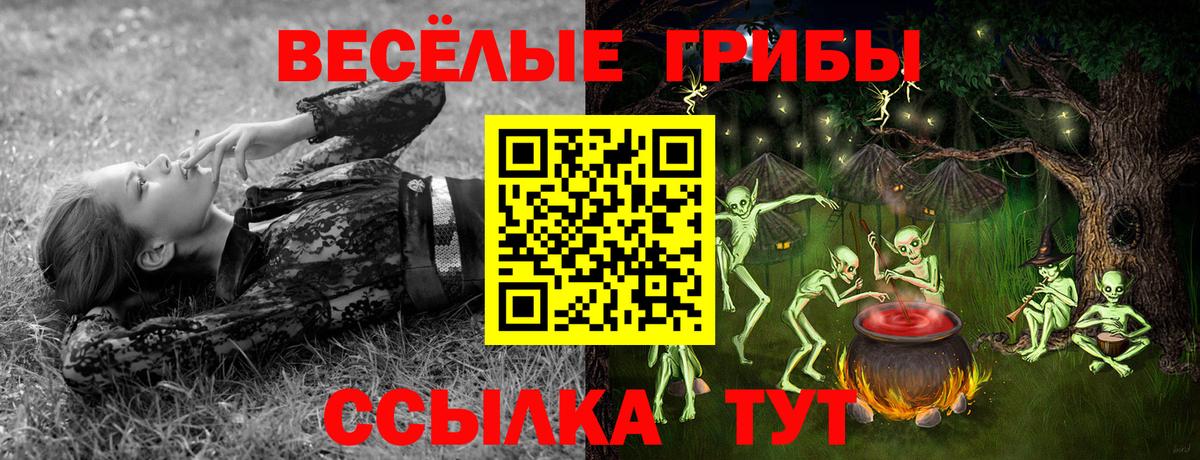 Ижевск  Галлюциногенные грибы MAGIC MUSHROOMS  купить   Вход с VPN 